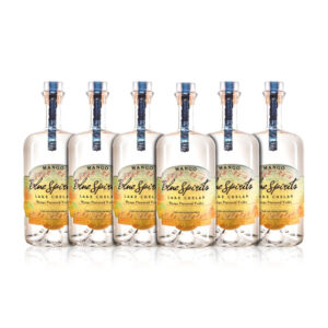 Blue Spirits Mango Flavored Vodka (6) Bottle Bundle