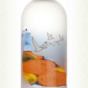 Grey Goose L'Orange Flavoured Vodka | 700ML