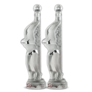 Teaz Vodka (2) Bottle Bundle